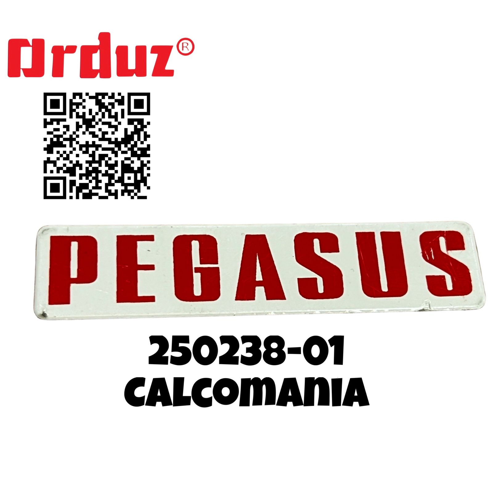 250238-01 Calcomania W500 PEGASUS REPUESTOS