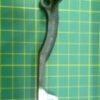 Imagen de la Biela Sujetador de Dientes Sun Star 06-114A-2350, una pieza robusta y sencilla que une y sostiene los engranajes en equipos industriales.